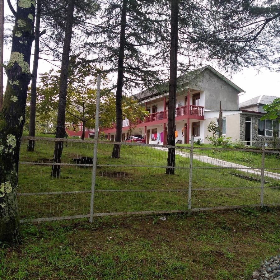 Hotel Poseidon Shekhvetili Ngoại thất bức ảnh